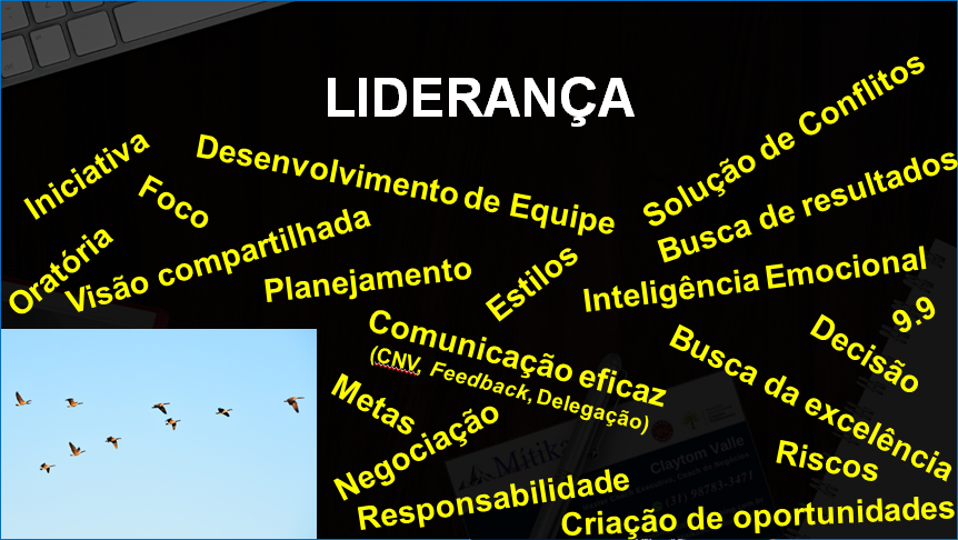 Aspectos para Liderança